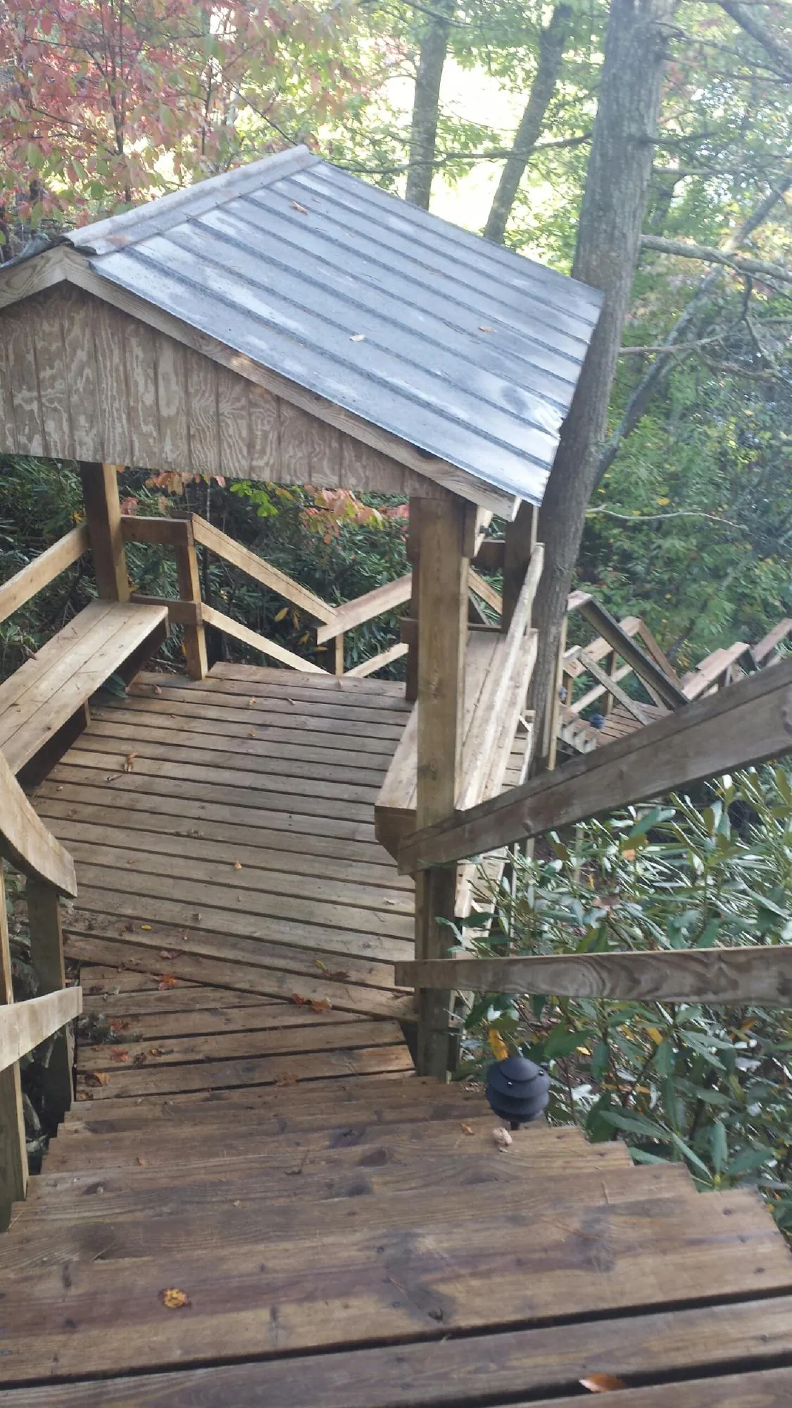 Metal roofed shelter over wooden steps on a wooded walkway — Skylight Repair & Installation work by our crew in Orange Springs