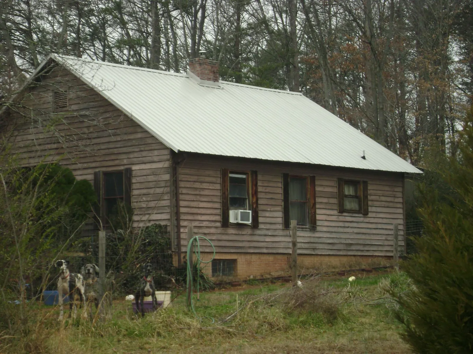 White metal roof on an old wood sided farmhouse, from a Metal Roof Installation job in Orange Springs